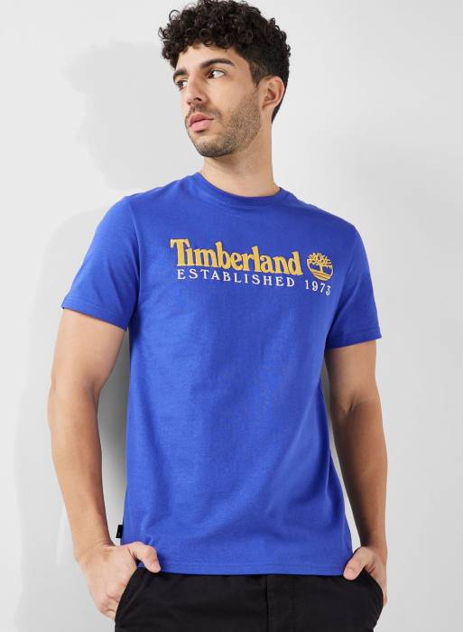 تیشرت مردانه تیمبرلند آبی